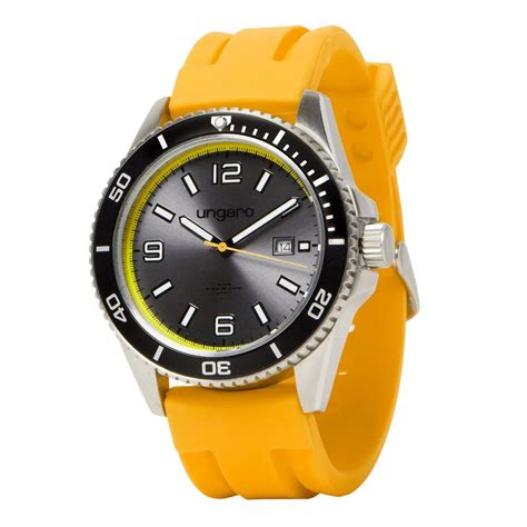 palimera ice watch